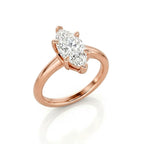 The Timeless Four-Claw Solitaire