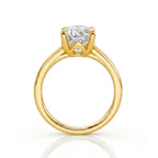 The Timeless Four-Claw Solitaire