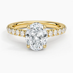Sienna Half Coverage Diamond Ring