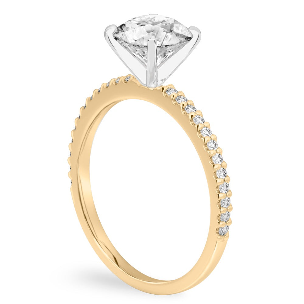 Diana Dainty Engagement Ring with Diamond Band