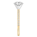 Diana Dainty Engagement Ring with Diamond Band