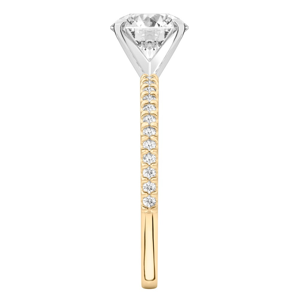 Diana Dainty Engagement Ring with Diamond Band