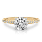 Diana Dainty Engagement Ring with Diamond Band